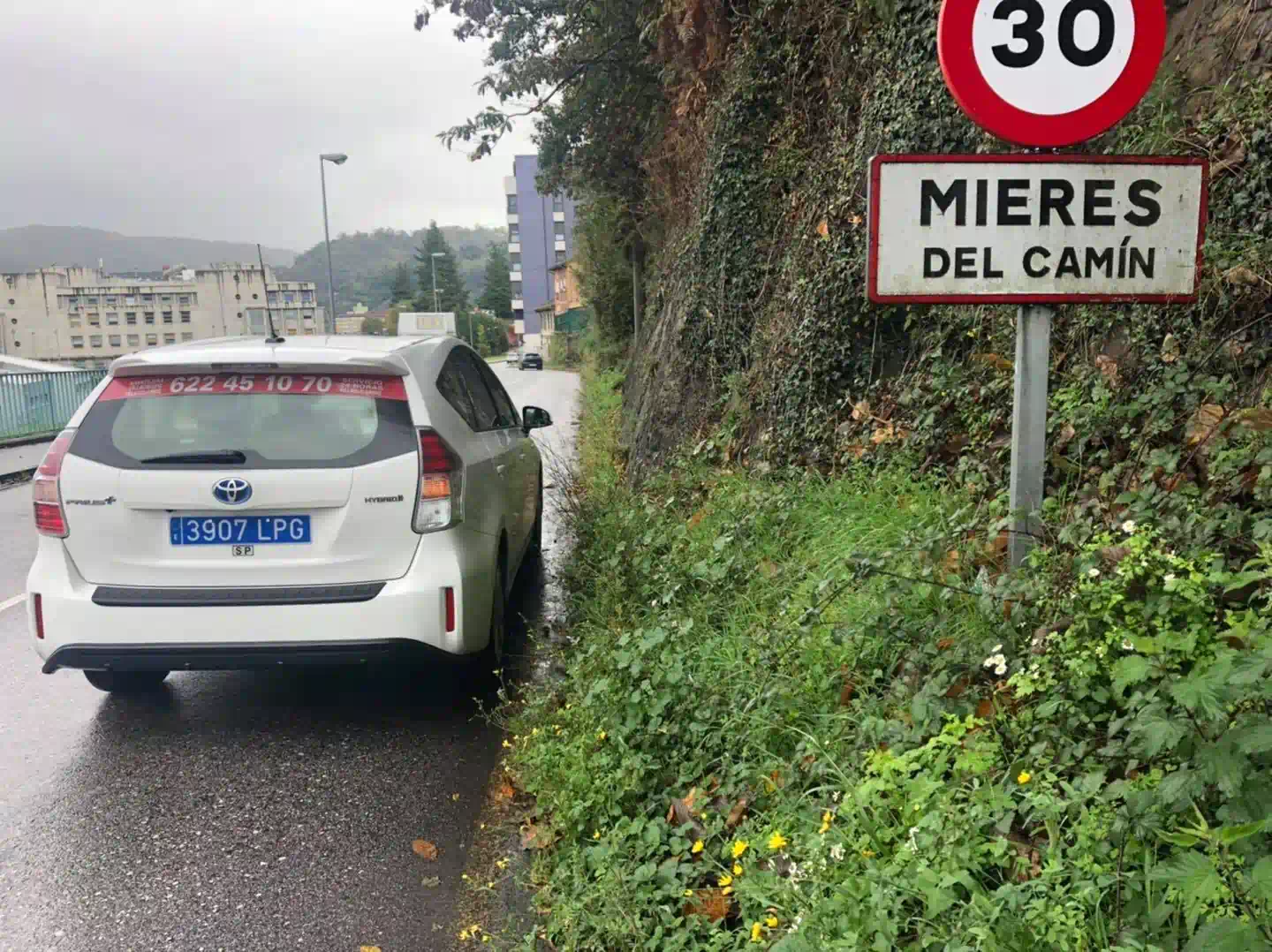 taxi León Mieres